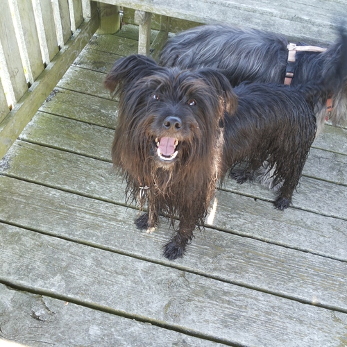 Ausflug im Mai 2016 (8)